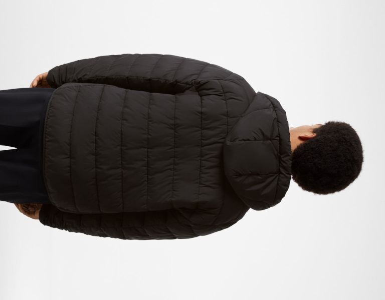 Black Men's Bershka Lightweight Puffer Down Jackets | dYZm4UnJyNk