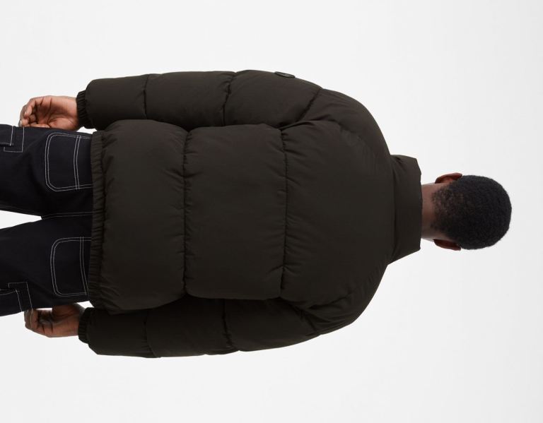 Black Men's Bershka Puffer Jackets | 1PosYqF2xVC