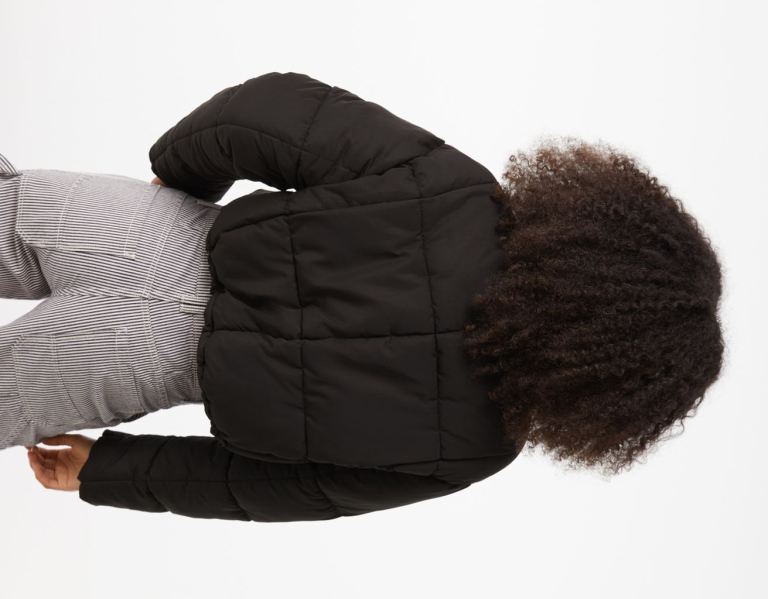 Black Women's Bershka Short Puffer Jackets | 1ctxMxvvEYc