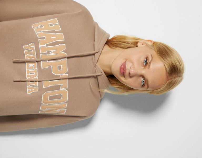 Brown Women's Bershka Embroidered Oversize Sweatshirts | gPORxDFNagm