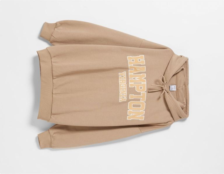 Brown Women's Bershka Embroidered Oversize Sweatshirts | gPORxDFNagm