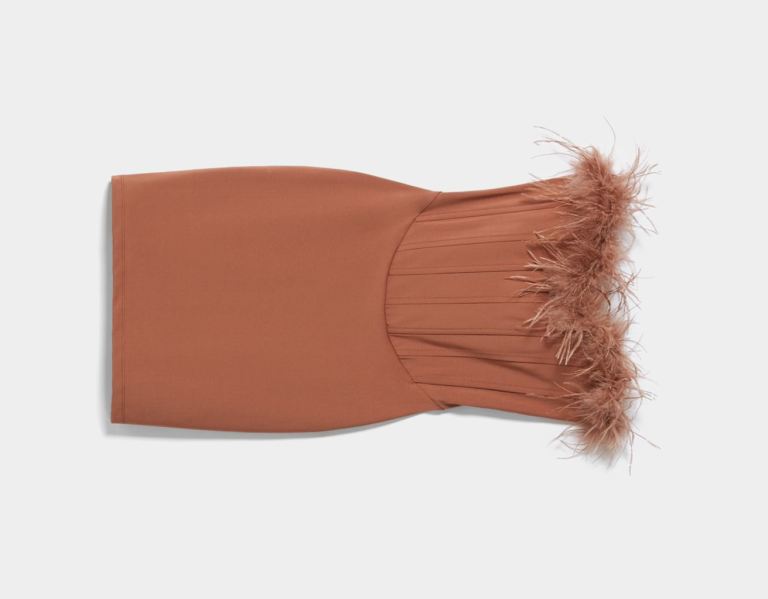 Brown Women's Bershka Sleeveless Mini With Feathers Dress | pjmlM968OM3