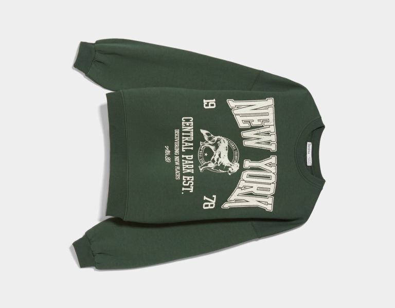 Green Women's Bershka Oversize Printed Sweatshirts | l5KdF8jBBxh