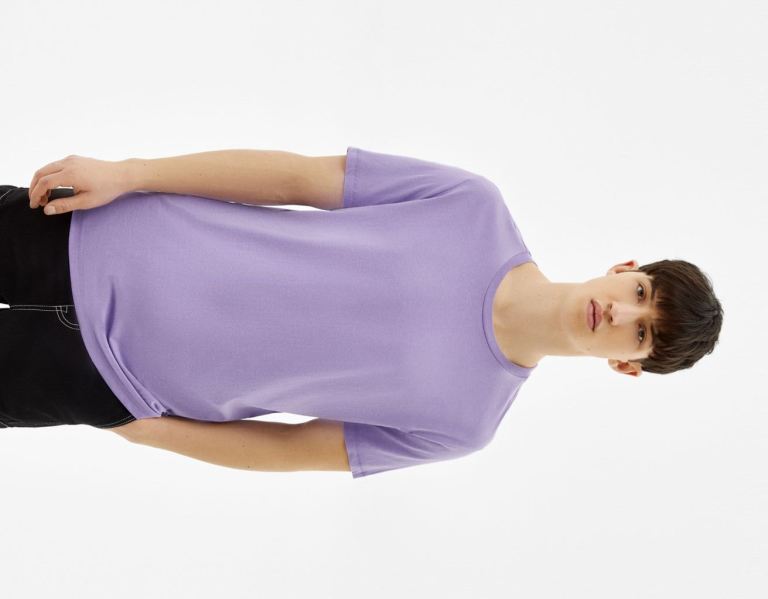 Purple Men\'s Bershka Regular-fit Short Sleeve T Shirts | tQNKMd5uzsr