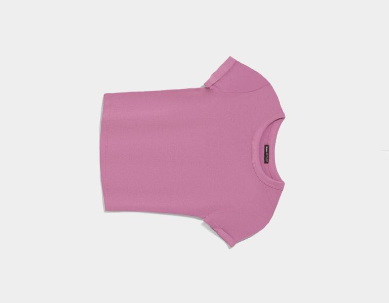 Purple Women's Bershka Fitted Short Sleeve T Shirts | tAjXXJv5q8f